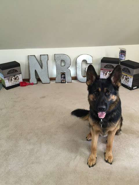 N-R-G Pet Products Ltd
